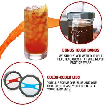 Masontops Kombucha Lid - Home Brewing Mason Jar Supplies - Live Organic Kombucha Making Starter Kit - Scoby Not Included 2-Pack