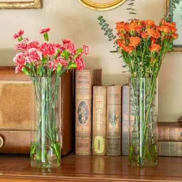 Elegant 7pcs Glass Cylinder Vases for Centerpieces