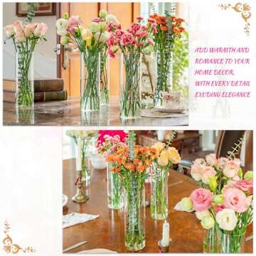 Elegant 7pcs Glass Cylinder Vases for Centerpieces