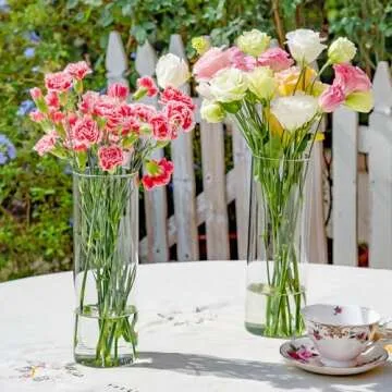 Elegant 7pcs Glass Cylinder Vases for Centerpieces