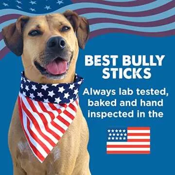 Best Bully Sticks Premium 6 Inch Beef Trachea - 20 Count (Pack of 1) - All-Natural, Grain-Free, Single-Ingredient, Supports Dental Health