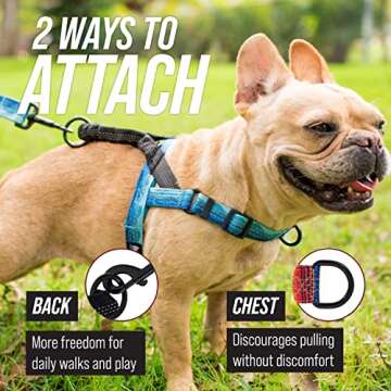Leash Boss No Pull Dog Harness for Small to Large Dogs