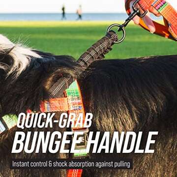 Leash Boss No Pull Dog Harness for Small to Large Dogs