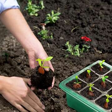 Fasezoomit 5 Packs Seed Starter Tray Seed Starter Kit with Humidity Dome Plant Seedling Starter Trays Indoor Greenhouse Seed Germination Station Kit for Seeds Growing Starting (12Cells Per Tray)