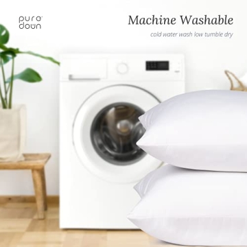 26x26 Premium Euro Pillow Inserts - Pack of 2