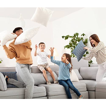 26x26 Premium Euro Pillow Inserts - Pack of 2