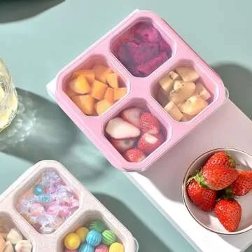 Eco-friendly 4 Compartment Snack Bento Box for Healthy Lunches