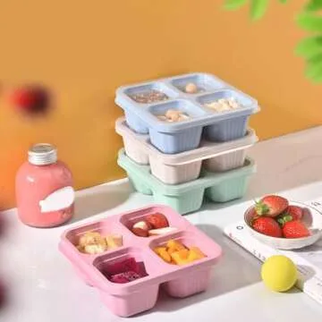 Eco-friendly 4 Compartment Snack Bento Box for Healthy Lunches