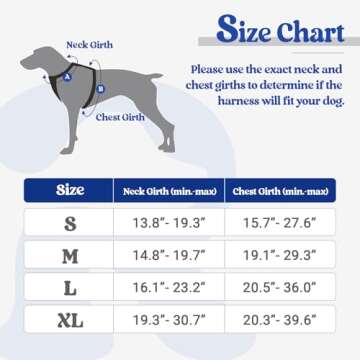 rabbitgoo Dog Harness No-Pull, Comfortable Padded Plaid Harness with Handle Easy Control, Adjustable Reflective Pet Vest with 2 Leash Clips for Small Dog, Blue Plaid, S