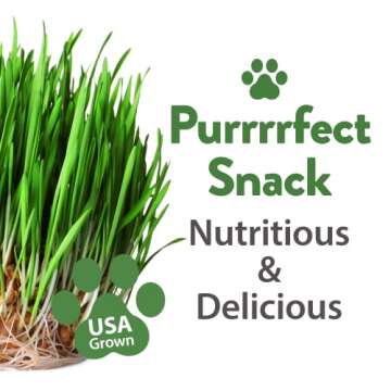 HOME GROWN 1 Pound Cat Grass Seeds for Indoor Cats & Pets - Ready to Eat in 7 Days - Quick & Easy to Grow, Cat Grass for Digestion & Hairballs, 100% Non-GMO Heirloom Oat Barley Seeds