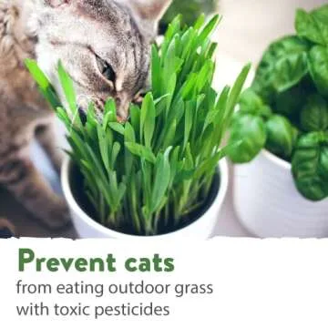 HOME GROWN 1 Pound Cat Grass Seeds for Indoor Cats & Pets - Ready to Eat in 7 Days - Quick & Easy to Grow, Cat Grass for Digestion & Hairballs, 100% Non-GMO Heirloom Oat Barley Seeds