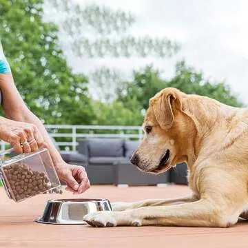 Palksky 468-Cavity Mini Round Silicone Mold/Chocolate Drops Mold/Dog Treats Pan/Semi Sphere Gummy Candy Molds for Ganache Jelly Caramels Cookies Pet Treats Baking Mold (1 Cavity - 0.02 Oz)