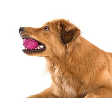 West Paw Zogoflex Air Boz Floating Dog Toy for Fetch