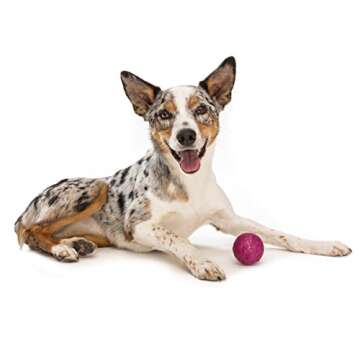 West Paw Zogoflex Air Boz Floating Dog Toy for Fetch