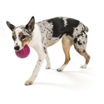 West Paw Zogoflex Air Boz Floating Dog Toy for Fetch