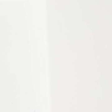 ZINUS Patricia White Metal Canopy Platform Bed Frame, Mattress Foundation with Steel Slat Support, No Box Spring Needed, Easy Assembly, Queen