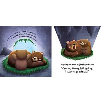 Nature Stories: Little Bear-Discover an Amazing Story from the Natural World: Padded Board Book