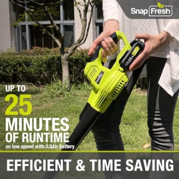 SnapFresh Cordless Leaf Blower Lightweight 2-Speed Tool