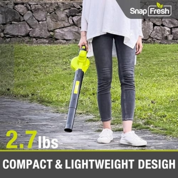 SnapFresh Cordless Leaf Blower Lightweight 2-Speed Tool
