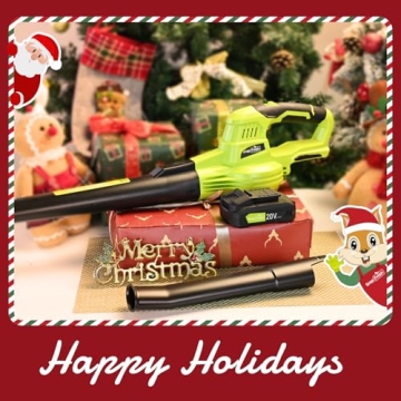 SnapFresh Cordless Leaf Blower Lightweight 2-Speed Tool