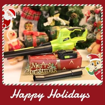 SnapFresh Cordless Leaf Blower Lightweight 2-Speed Tool