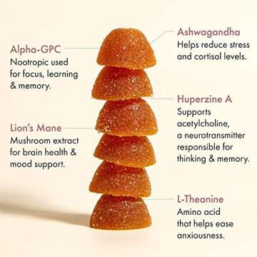 Winged Rise Up Gummies | Energy & Brain Boost Supplement | Natural Caffeine, Ashwagandha & B12 for Energy | Nootropics Alpha-GPC, Lion’s Mane & Huperzine A for Focus | Pineapple Flavor (30 Servings)