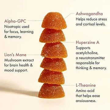 Winged Rise Up Gummies | Energy & Brain Boost Supplement | Natural Caffeine, Ashwagandha & B12 for Energy | Nootropics Alpha-GPC, Lion’s Mane & Huperzine A for Focus | Pineapple Flavor (30 Servings)