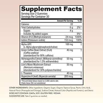 Winged Rise Up Gummies | Energy & Brain Boost Supplement | Natural Caffeine, Ashwagandha & B12 for Energy | Nootropics Alpha-GPC, Lion’s Mane & Huperzine A for Focus | Pineapple Flavor (30 Servings)