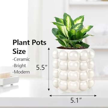 Cusmation Bubble Planter - Modern Ceramic Pots for Indoors