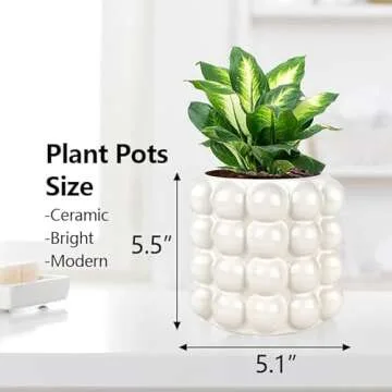 Cusmation Bubble Planter - Modern Ceramic Pots for Indoors