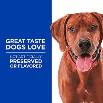 Hill's Grain Free Soft Baked Dog Treats with Duck & Pumpkin