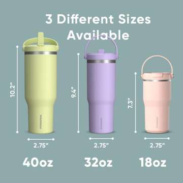 Hydrapeak Nomad 32 oz Tumbler with Handle and Straw Lid, Leakproof, Double Insulated, 32oz Cup Stainless Steel (Alpine)