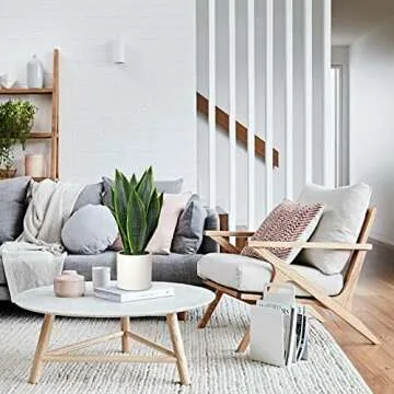 Briful Fake Snake Plant 16" Faux Potted Plant - Perfect for Home and Office