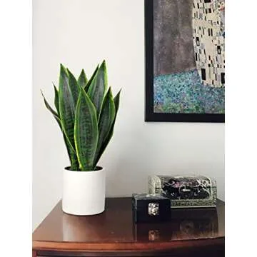 Briful 16" Faux Potted Snake Plant for Modern Decor