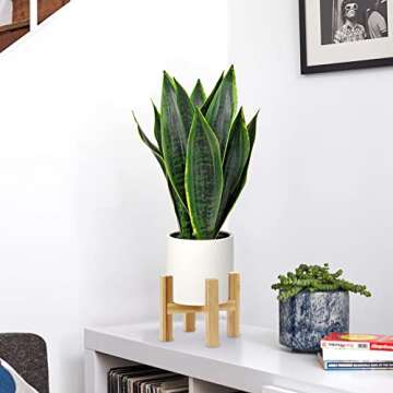 Briful 16" Faux Potted Snake Plant for Modern Decor