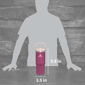 Stanley IceFlow Stainless Steel Tumbler - Vacuum Insulated Water Bottle for Home, Office or Car Reusable Cup with Straw Leak Resistant Flip Cold for 12 Hours or Iced for 2 Days, Raspberry, 30OZ