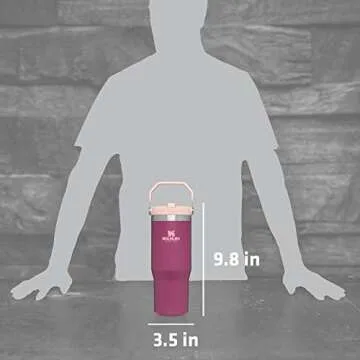 Stanley IceFlow Stainless Steel Tumbler - Vacuum Insulated Water Bottle for Home, Office or Car Reusable Cup with Straw Leak Resistant Flip Cold for 12 Hours or Iced for 2 Days, Raspberry, 30OZ