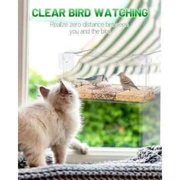 Window Bird Feeder for Exceptional Bird Watching Experience