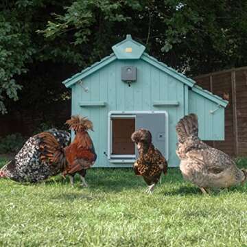 Omlet Automatic Chicken Coop Door Opener - Easy to Install