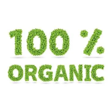 Organic Soft Dried Turkish Apricots - Vegan & Keto