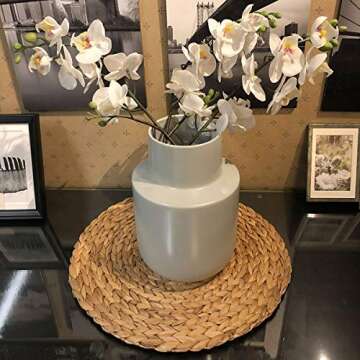 HomeDo Large Round Woven Placemats Set of 4 for Dining Table, Water Hyacinth Straw Braided Placemat, Heat Resistant Non-Slip Weave Placemats Handmade (Water Hyacinth-4pack, Round 11.8")