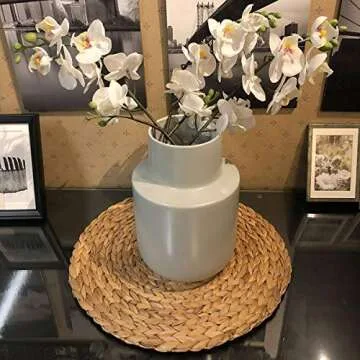 HomeDo Large Round Woven Placemats Set of 4 for Dining Table, Water Hyacinth Straw Braided Placemat, Heat Resistant Non-Slip Weave Placemats Handmade (Water Hyacinth-4pack, Round 11.8")