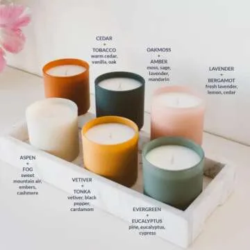 Calyan Wax Soy Wax Candle Gift Set | The Dignity Series Set of 6 Premium Scented Candles for The Hom...