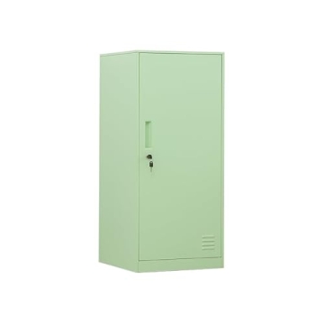 Stylish and Sturdy DAYTOYS 1 Door Metal Vertical Storage Locker for Kids