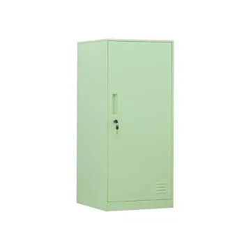 Stylish and Sturdy DAYTOYS 1 Door Metal Vertical Storage Locker for Kids
