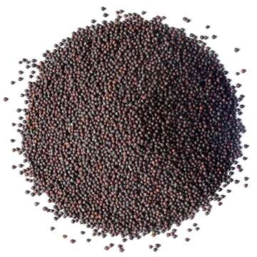 Food to Live Organic Broccoli Seeds for Sprouting, 8 Pounds – Non-GMO, Vegan, Kosher, Sirtfood, Bulk. Rich in Sulforaphane, Vitamin C. Grow Sprouts, Microgreens for Salads, and Sandwiches