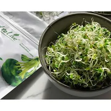 Food to Live Organic Broccoli Seeds for Sprouting, 8 Pounds – Non-GMO, Vegan, Kosher, Sirtfood, Bulk. Rich in Sulforaphane, Vitamin C. Grow Sprouts, Microgreens for Salads, and Sandwiches