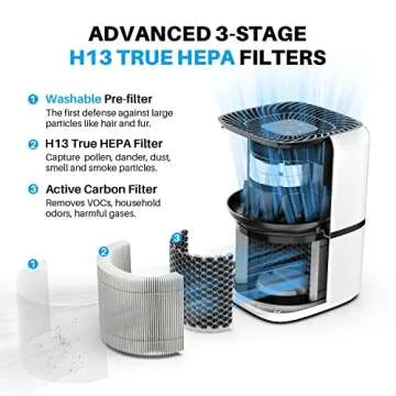 Effective Okaysou AirMic4S Air Purifier for Allergies