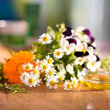 Weleda Skin Food Intensive Skin Nourishment Body Butter, 5 Fl Oz, Plastic Jar