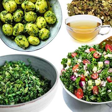 Herb Scissors with 5 Blades and Cover,Kitchen 5 Stainless Steel Blade Herb Cutting Shears Scissors, Shredding Scissors for Paper,Food Salad Herb Cilantro Cutter Mincer Chopper Garden Kitchen Gadgets